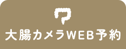 大腸カメラWEB予約