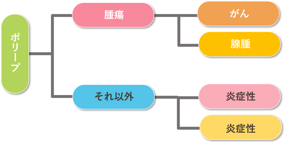 大腸ポリープとは