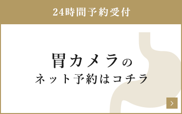 胃カメラのネット予約はこちら