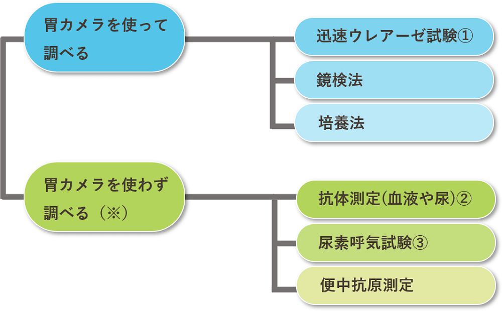 ピロリ菌の診断方法には大きく2つに分かれます。